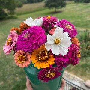 Meet your Posher, Nora